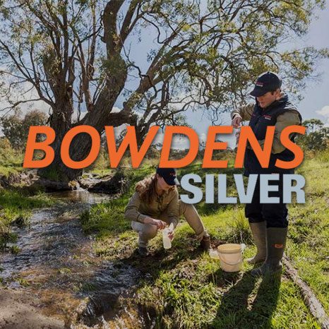 Bowdens Silver tile
