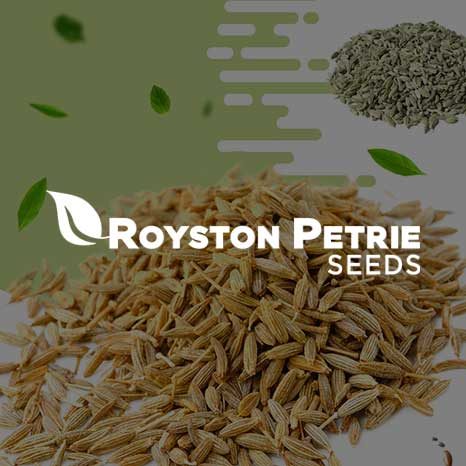 Royston Petrie Seeds tile